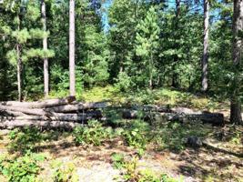 10138 POINT O PINES RD