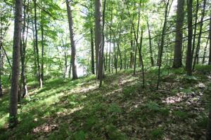 Lot 1 LAKE JULIA RD