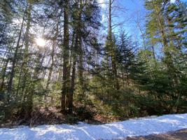ON TALL TIMBERS RD