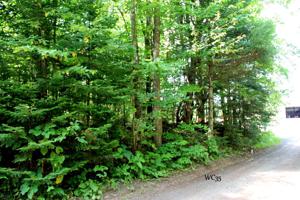 Lot 35 ALPINE DR