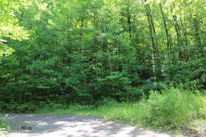 Lot 25 ALPINE SHORES DR