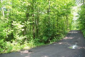 Lot 11 ALPINE SHORES DR
