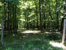 Lot 20 CONNORS RD