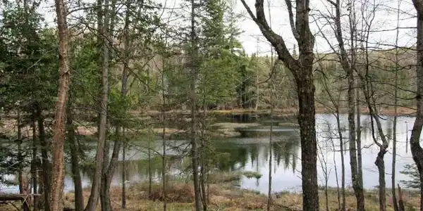 3708 BOY SCOUT ISLAND RD