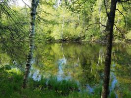 Lot 4 QUIET COVE RD
