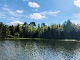 Lot 3 EAGLEWATCH CT