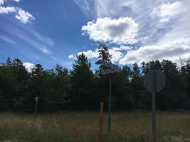 ON THE POINT RD W