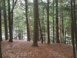 N9888 CLIFF RD