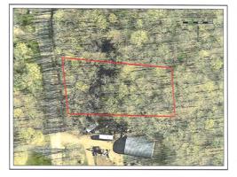 ON MUSSER CREEK CT