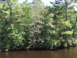 Lot 3 CLEAR LAKE RD