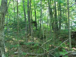 Lot 35 ALPINE DR