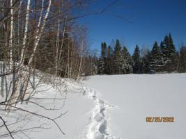 ON CHICKADEE CT