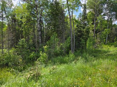 40 AC HWY 45