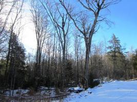 Lot 4 MANY ROCK RD