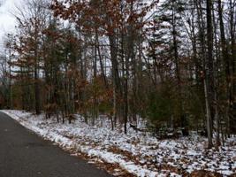 ON DUNER POINT LN
