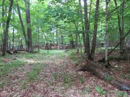 ON TIMBER WOLF RD