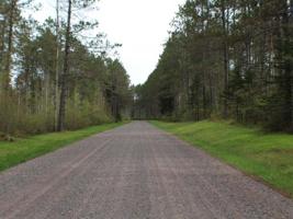 Lot 78 CARDINAL DR
