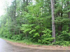 ON MISHONAGON WAY