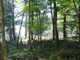 Lot #6 CHANNEL RD