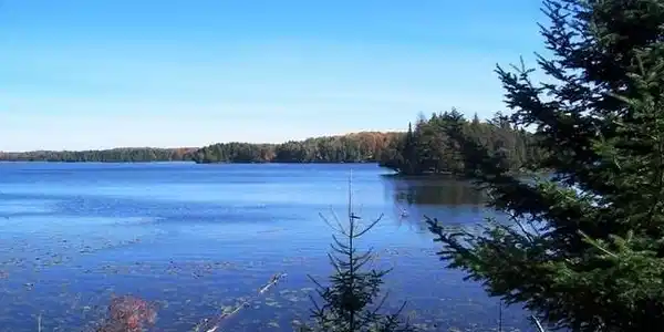 Lot 5 CISCO LAKE RD E