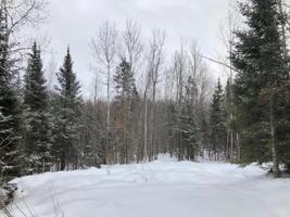8.35 ac SQUAW LAKE RD W