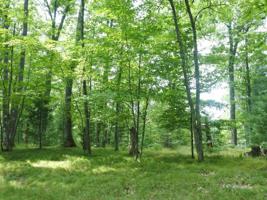 Lot A EGTVEDT RD
