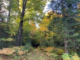 LOT 27 REDWOOD DR