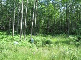 ON PFEIFER RD