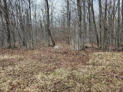 ON LAKE WINTER RD