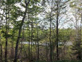Lot 3 BEAVER LODGE RD
