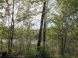 Lot 5 PINE BOUGH CT