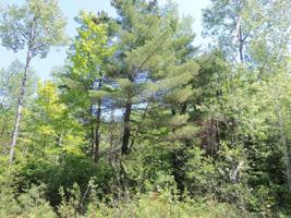 Lot 6 PINE BOUGH CT