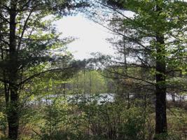 Lot 8 DEEPWOODS CT