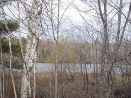 Lot 9 BEAVER LODGE CR