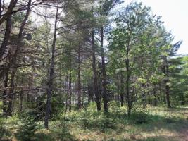 Lot 10 PINE BOUGH CT