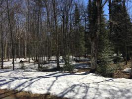 Lot 22 BALSAM LN