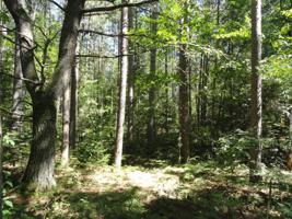 Lot 19 WOODSMOKE DR