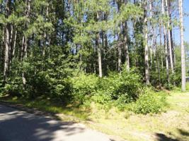 Lot 22 WOODSMOKE DR