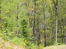 10 TALL TIMBERS RD