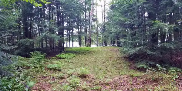 Lot 2 ARBOR LN