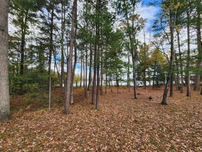 Lot 1 GOPHER LN