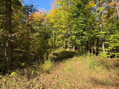 Lot 1 ISABELLE DR