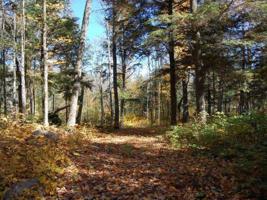 Lot 2 MANY ROCK RD
