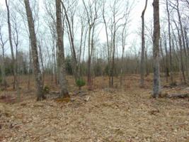 Lot 102 BO DI LAC DR