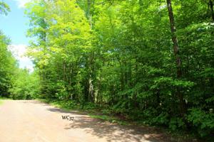 Lot 37 ALPINE DR