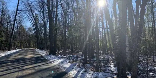ON BIRCHWOOD DR