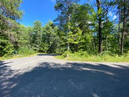 Lot 1 CHEQUAMEGON DR