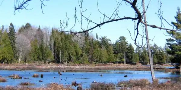 ON BOY SCOUT ISLAND RD