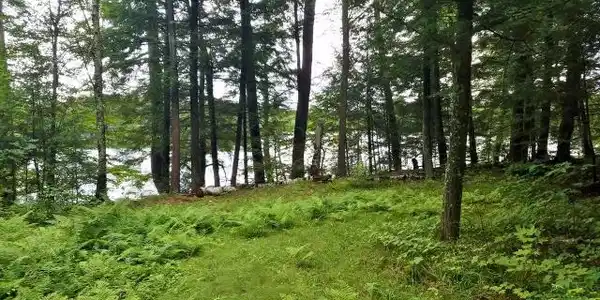 Lot 1 ARBOR LN