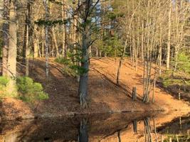 Lot 7 THE POINT ROAD E